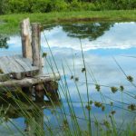 agricampeggio_tadea_02