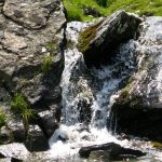barbara_05