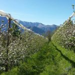 marsaglia_02