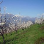 marsaglia_03