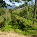 marsaglia_04