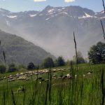 monnet_03