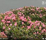 tbn_video_03