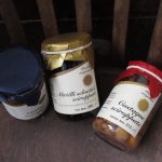 terranova_04
