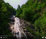 video_cannizzaro_cibo_anima
