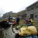 Barant 1 (5)