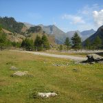IMG_0968