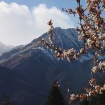 home-invalpellice-primavera