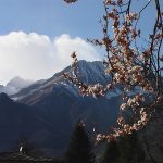 invalpellice-primavera